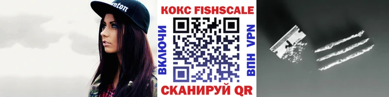 КОКАИН FishScale  как найти закладки  Петровск-Забайкальский 