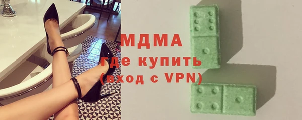 шишки Надым