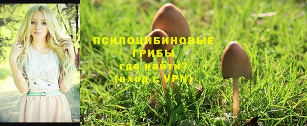дмт Алексеевка