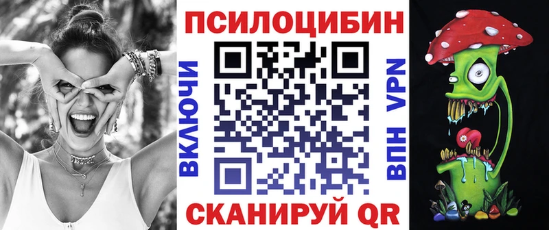 Псилоцибиновые грибы MAGIC MUSHROOMS  mega зеркало  Петровск-Забайкальский  наркотики 